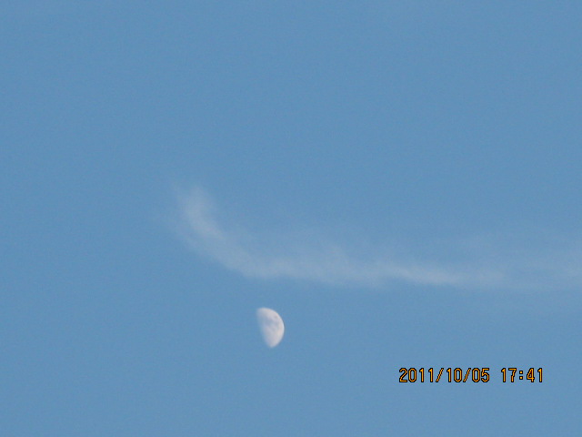 img_4577.jpg