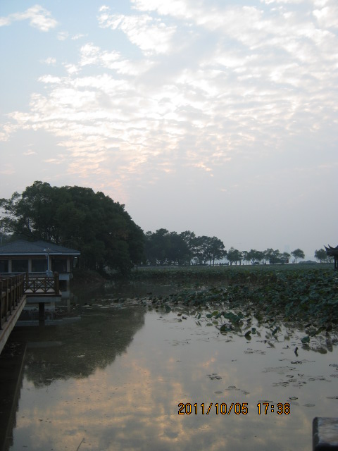 img_4576.jpg