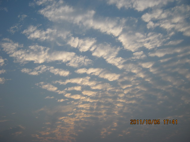 img_4578.jpg