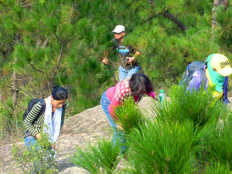 dscn0793_.jpg