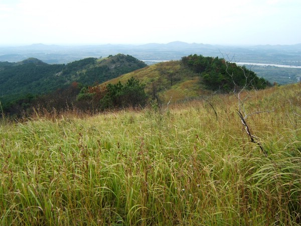 dscf5277.jpg