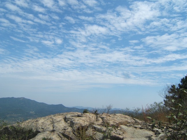 dscf5290.jpg