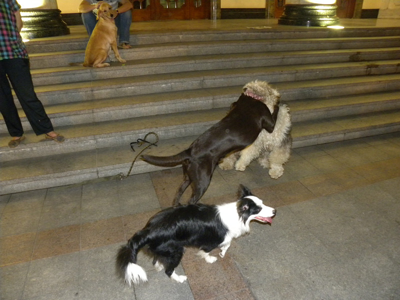 dscn4476_.jpg