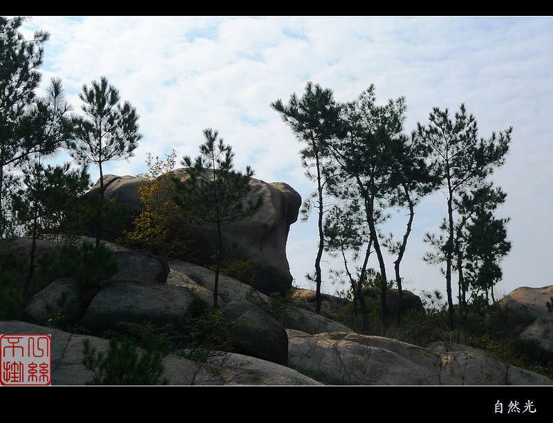 l1240020.jpg