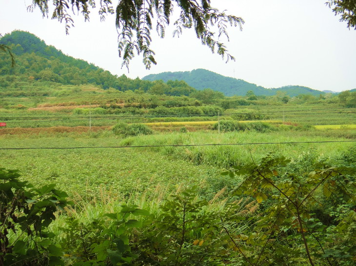 dsc06508.jpg