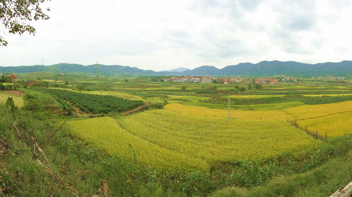 dsc06555.jpg