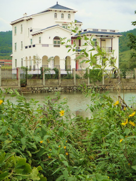 dsc06567.jpg