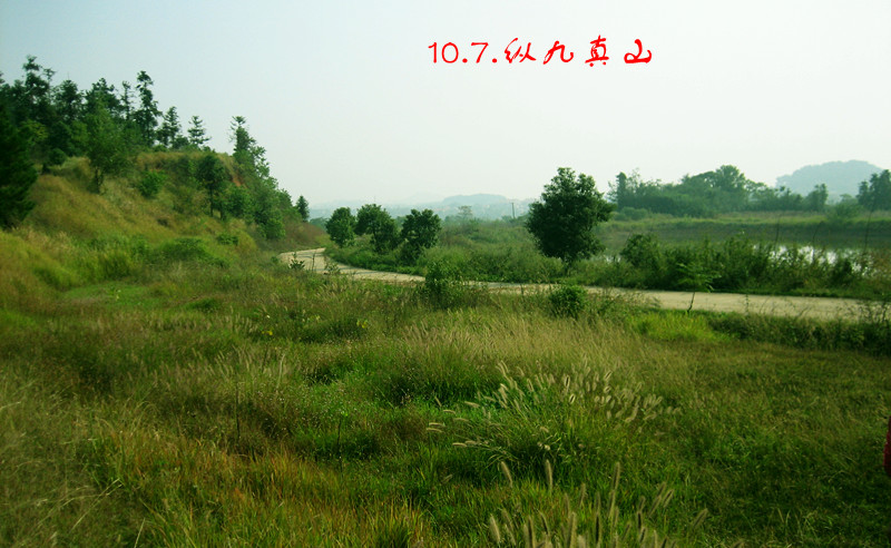 img_3606_1.jpg