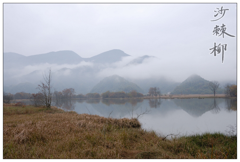 dsc_0094.jpg