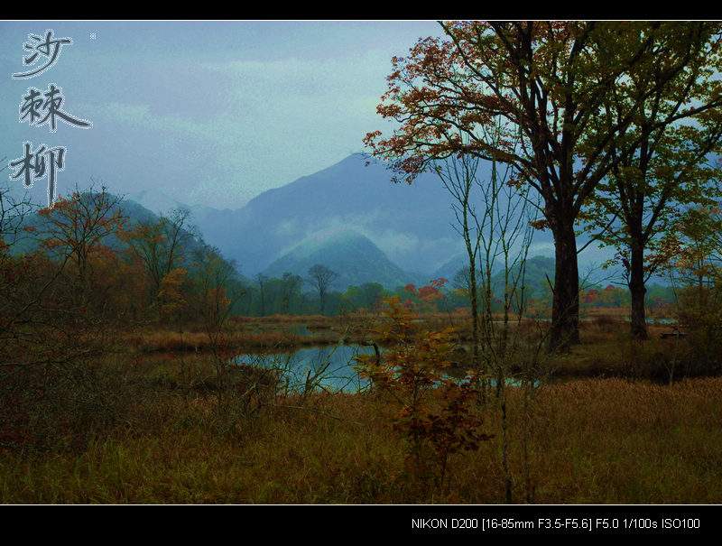 dsc_0122.jpg