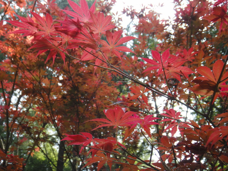 dsc06908.jpg