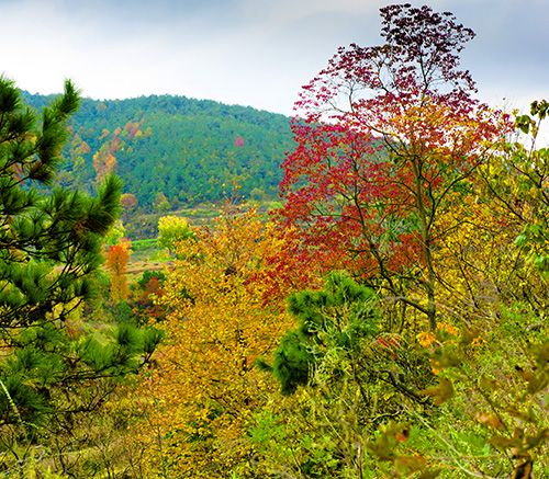 _dsc7719a.jpg