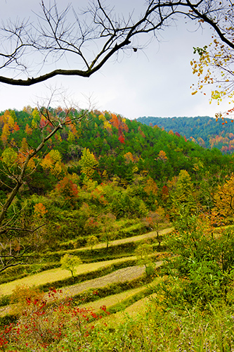 _dsc7718a.jpg