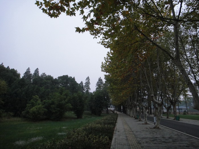 343-11.jpg