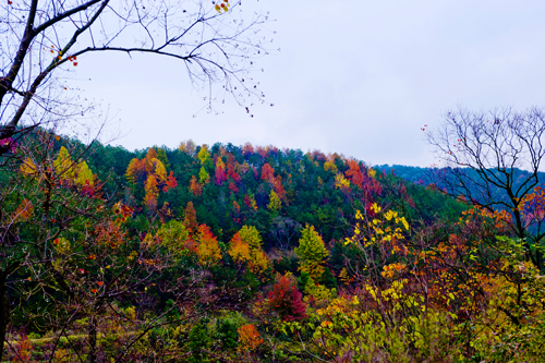 _dsc7717a.jpg