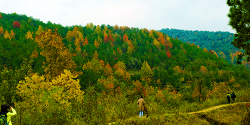 _dsc7712a.jpg
