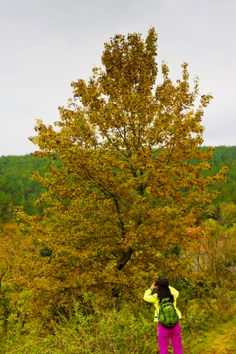 _dsc7709a.jpg