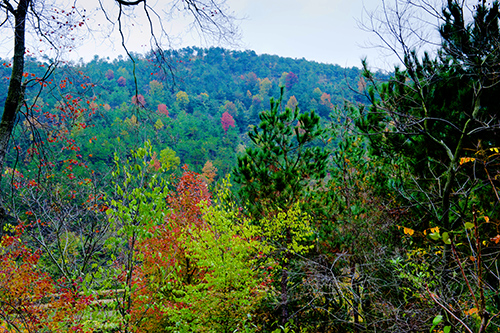 _dsc7704a.jpg