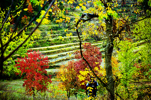 _dsc7701a.jpg