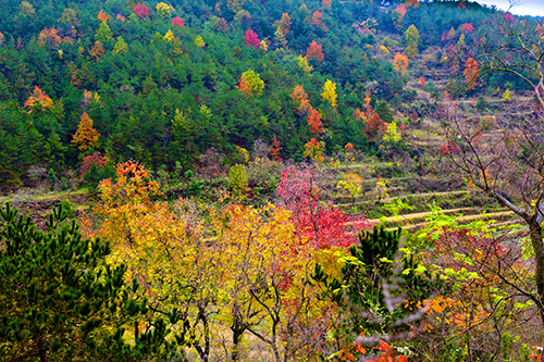 _dsc7699a.jpg