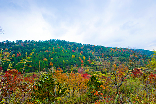 _dsc7698a.jpg