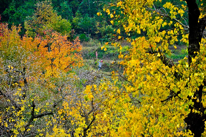 dsc_0103-1.jpg