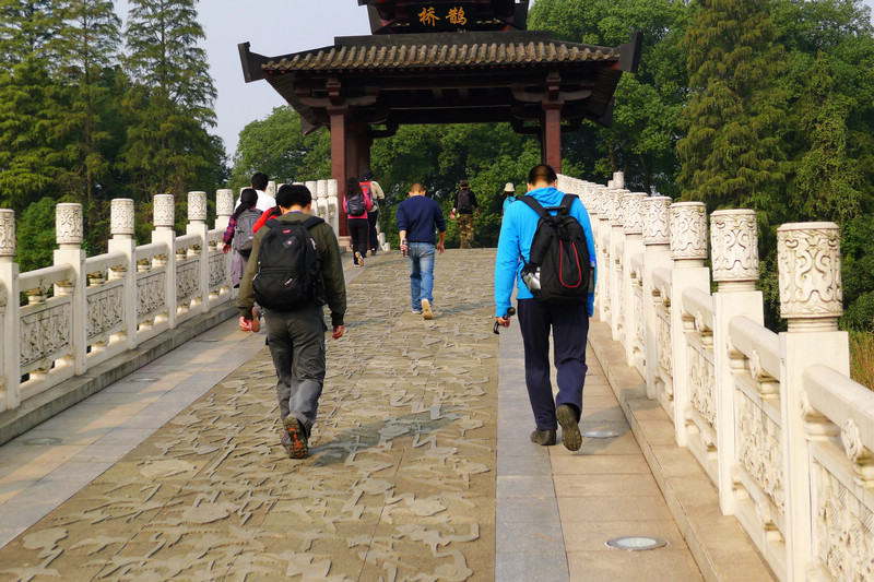 p1060018.jpg