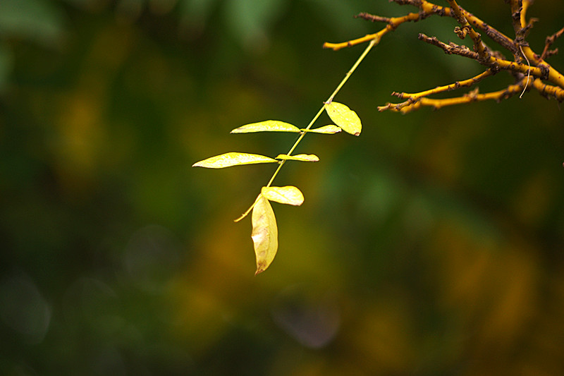 imgp7557_����.jpg