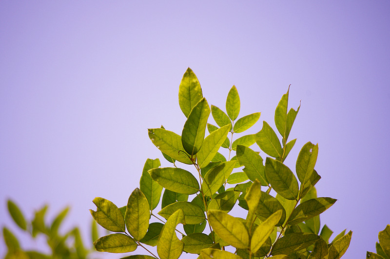 imgp7558_����.jpg