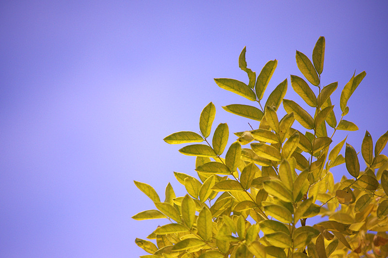imgp7560_����.jpg