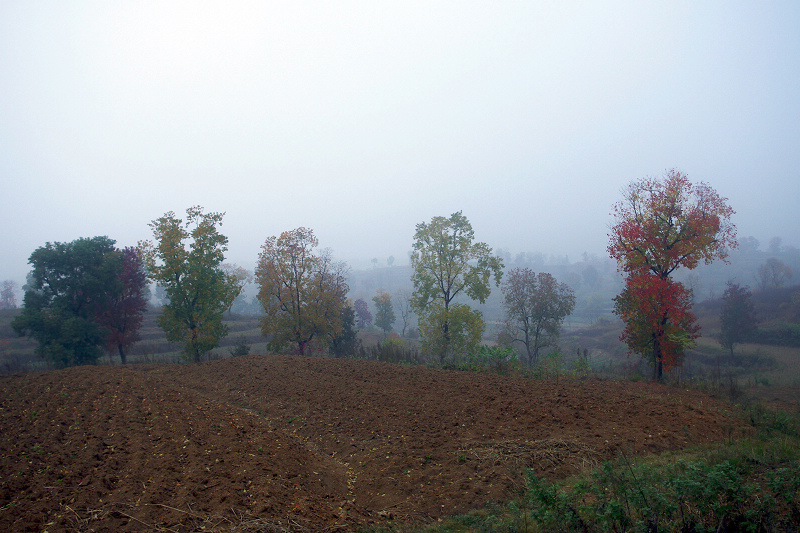 imgp8483.jpg