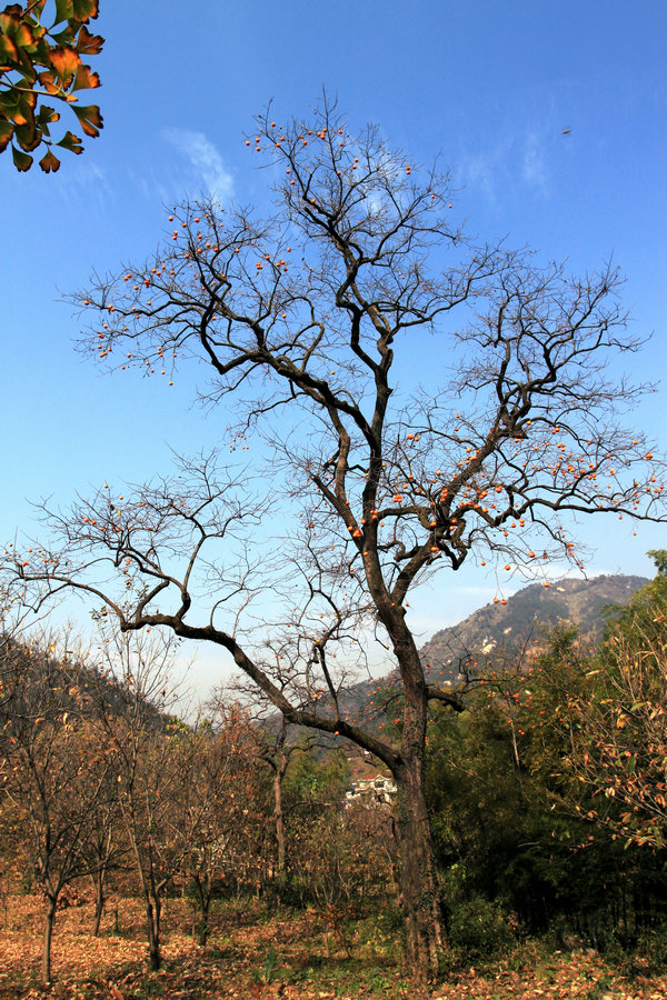 img_0002.jpg