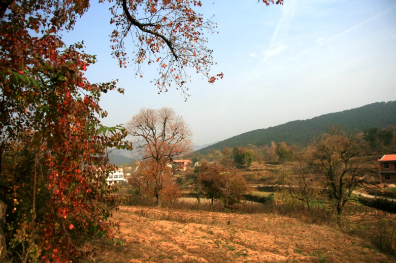 �����Ҷ 049.jpg