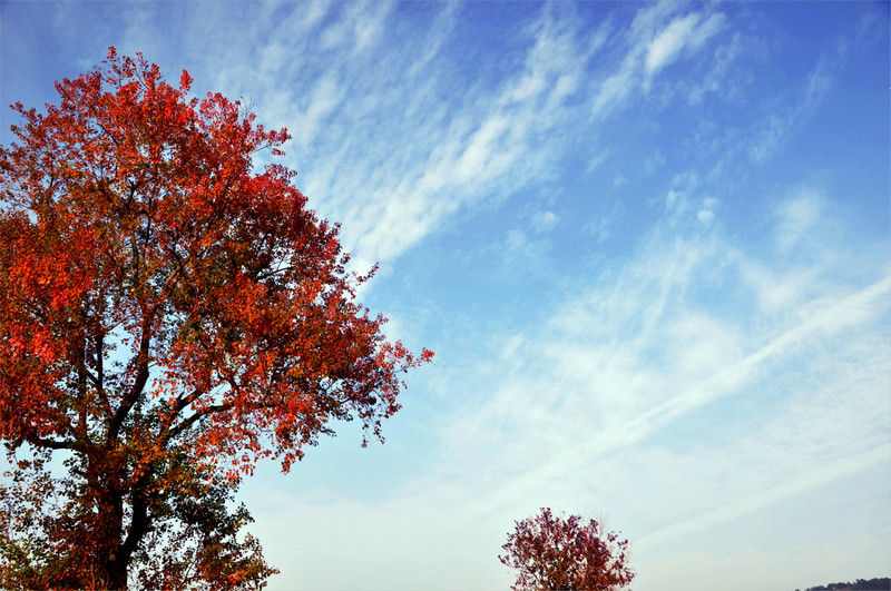 dsc_6345.jpg