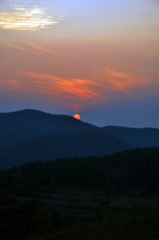 dsc_6556.jpg