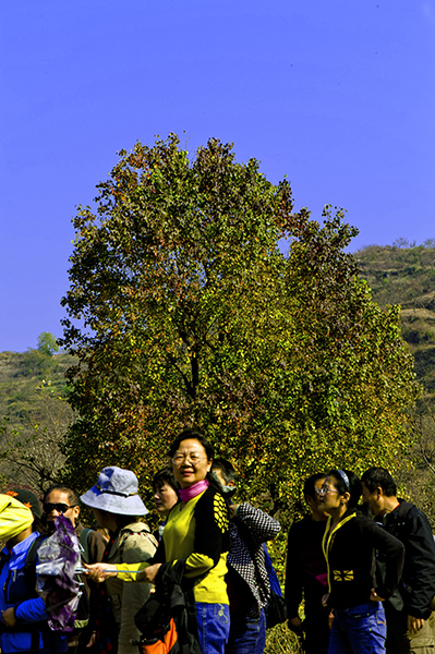 _dsc8033a.jpg