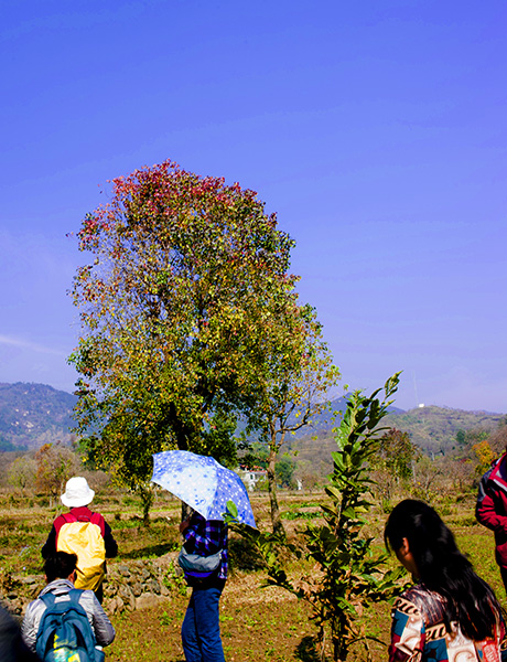 _dsc8042a.jpg