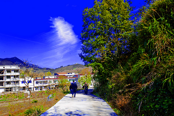 _dsc8073a.jpg