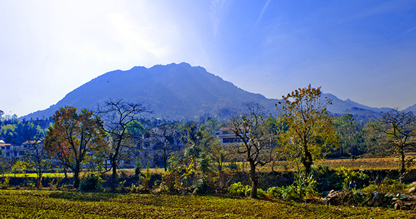 _dsc8051a.jpg