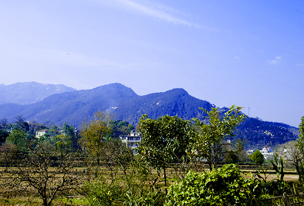 _dsc8053a.jpg