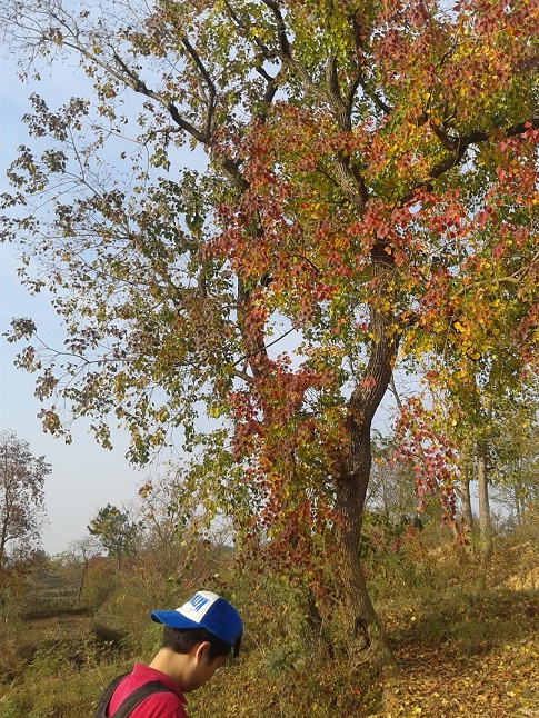 2011-11-12 15.23.30.jpg