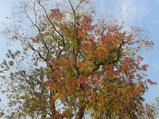 2011-11-12 15.23.52.jpg