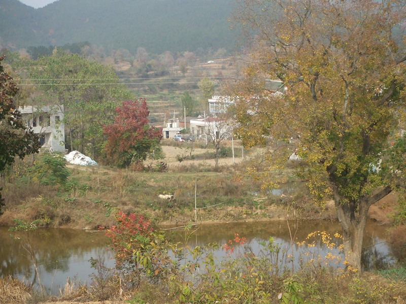 dscf0171_����.jpg