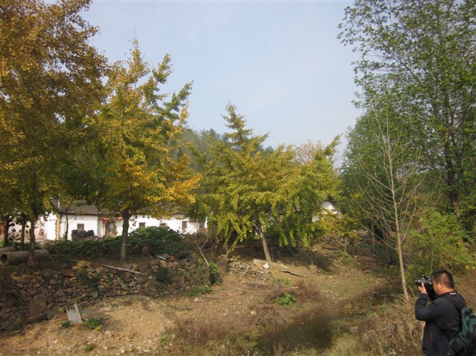 psb10.jpg