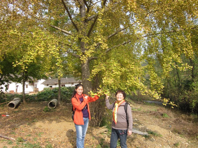 psb16.jpg