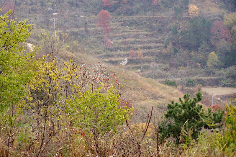 100_9357.jpg