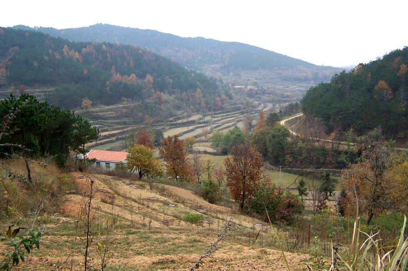 100_9360.jpg