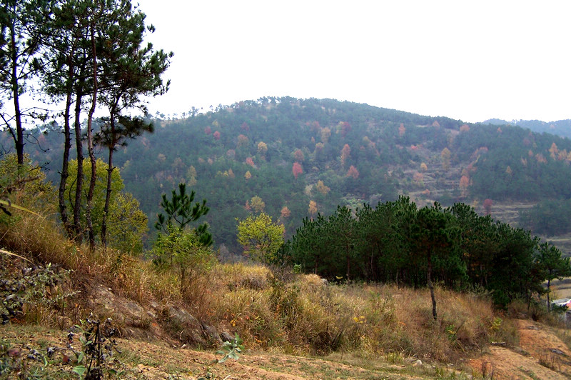 100_9361.jpg