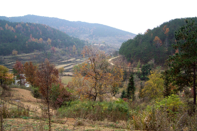100_9362.jpg