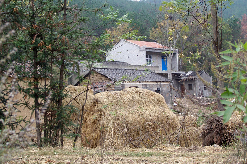 100_9373.jpg
